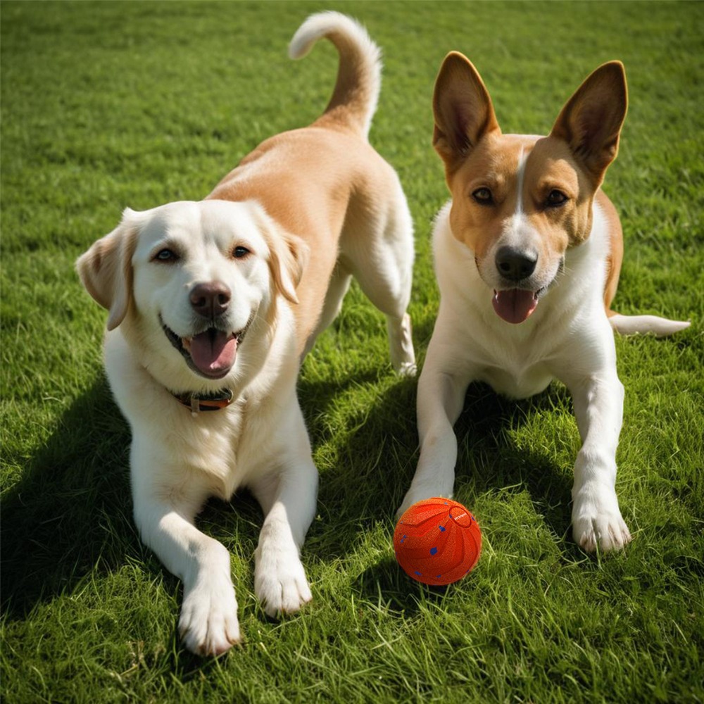 Automatic Moving Dog Ball - ลูกบอลสำหรับสุนัขอัจฉริยะ ทนทานต่อการกัด ทนทานต่อการสึกหรอ ชาร์จไฟได้ด้วย USB ลูกบอลเคลื่อนที่อัตโนมัติ