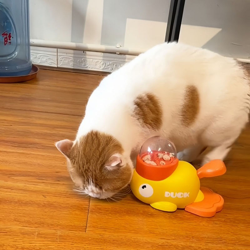 ของเล่นฝึกสุนัขรูปเป็ดสีเหลือง - Dog Puzzle Feeder Toy บทวิจารณ์และราคา