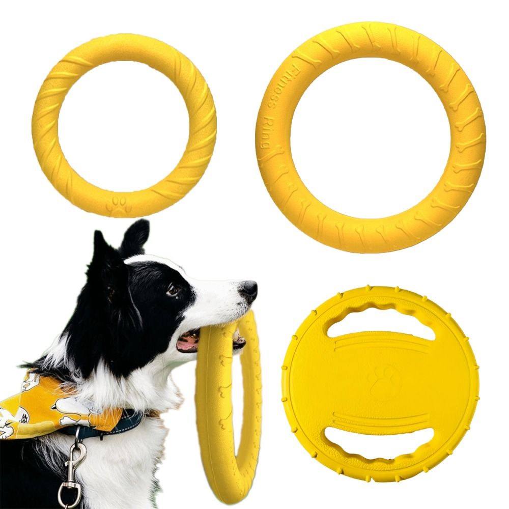 ชุดของเล่นสำหรับสุนัขเล่นกลางแ - Flying Disc Dog Training Toy บทวิจารณ์และราคา
