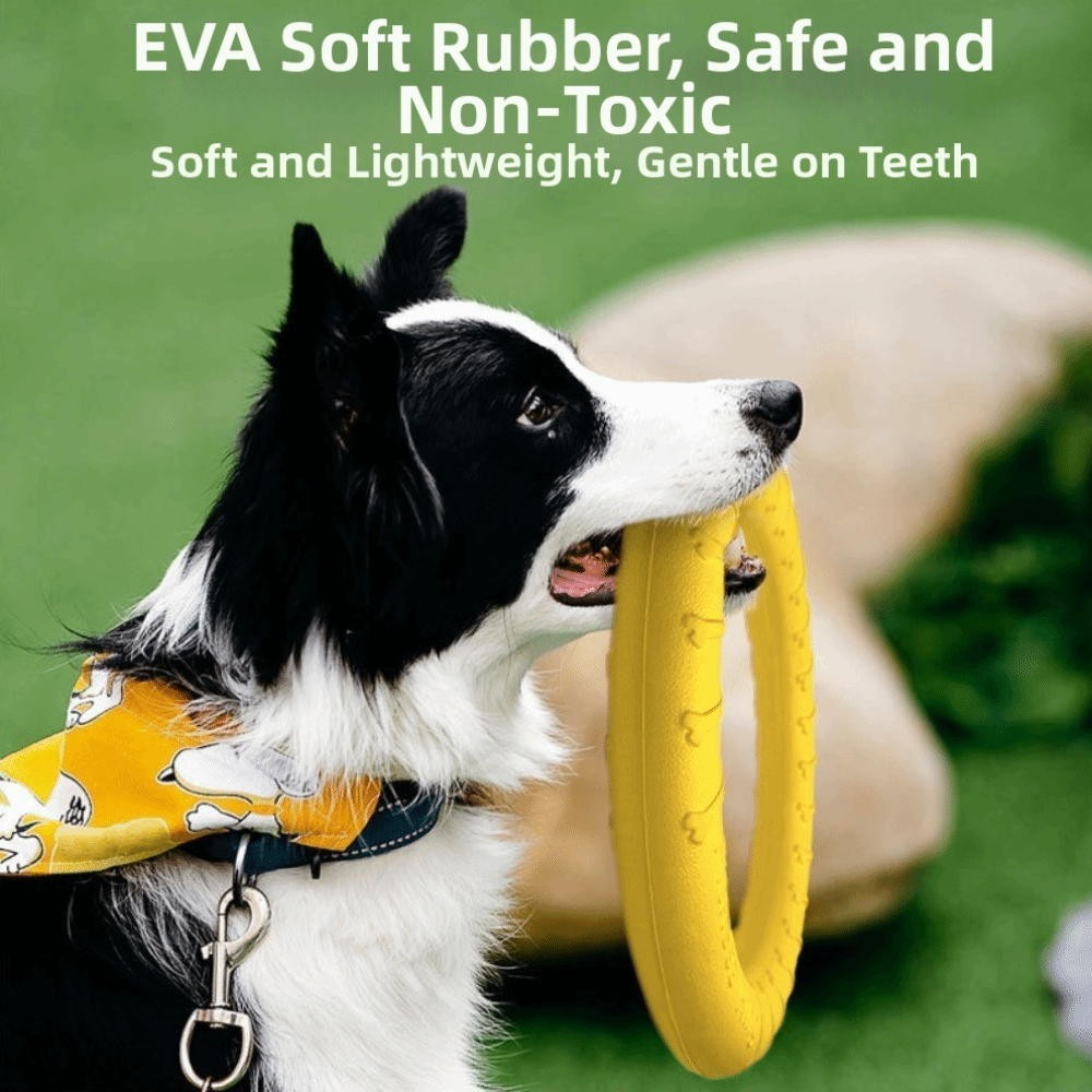 ชุดของเล่นสำหรับสุนัขเล่นกลางแ - Flying Disc Dog Training Toy บทวิจารณ์และราคา