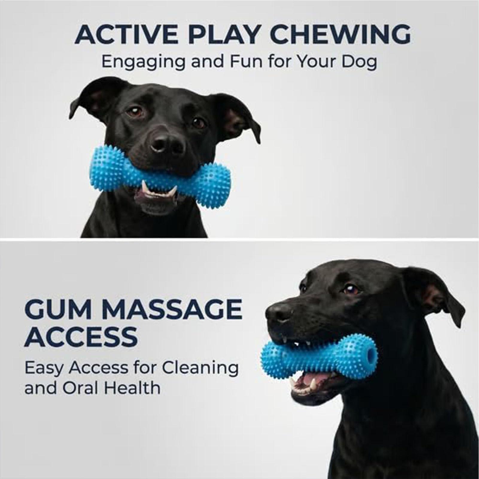 ของเล่นแปรงฟันสุนัข แท่งเคี้ยว - Rubber Treat Dispensing Dog Toy บทวิจารณ์และราคา