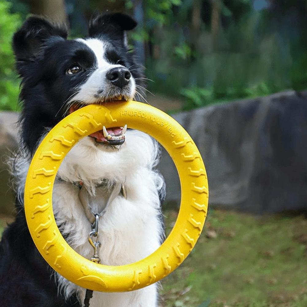 ของเล่นแหวนสำหรับสุนัข ทนทาน ไ - Indestructible Dog Chew Toy บทวิจารณ์และราคา